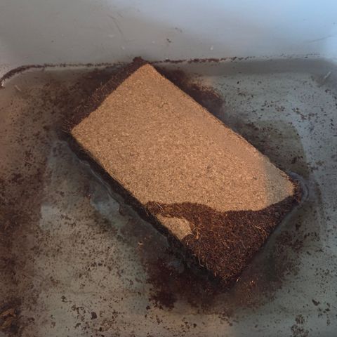 Apple Strudel Auto ( HGC Contest ) growlog photo: Vorbereitung des Substrats
- ca. 18 L Gesamtvolumen
- 4,5l Kokosfaser in 2l Wasser gebuffert mit 2ml Plagron CalMag.
- und mit ca. 12,5l Frux Grow Lightmix vermischt


