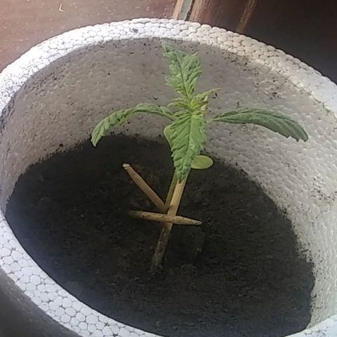 Channel+? growlog photo: 😕🙃