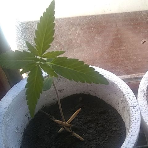 🔴 growlog photo: 😍❤️