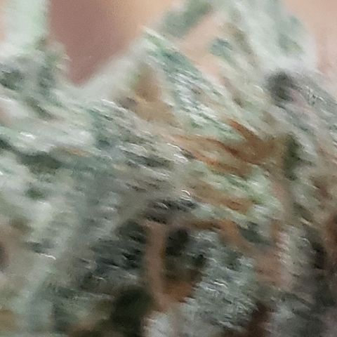 Unknown auto 1 growlog timeline photo