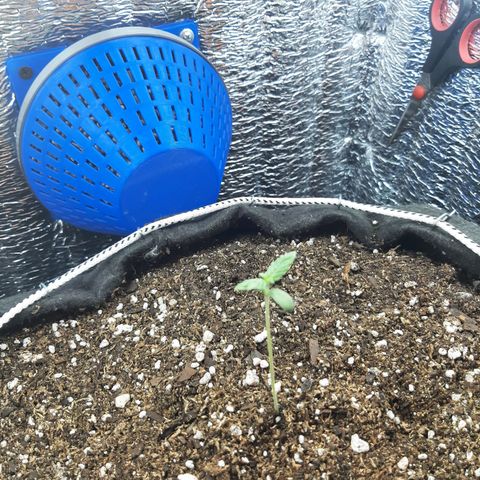 Morita XXL growlog timeline photo