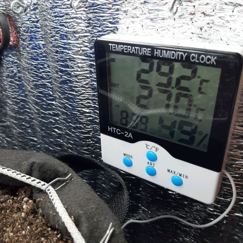 Morita XXL growlog timeline photo