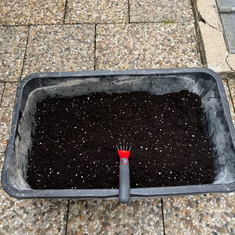 Runtz Auto growlog timeline photo
