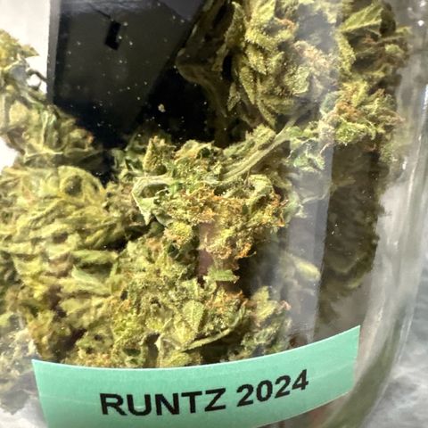 Runtz Auto growlog timeline photo