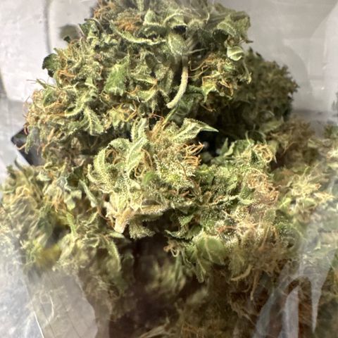 Auto Strawberry Banana growlog timeline photo