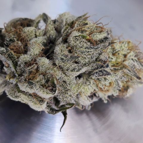 Banana Punch "Chiquita🍌"  growlog photo: Am Ende kamen 19g Buds und 6g sehr sehr mächtige Zuckerblätter bei raus. Jetzt fermentieren die Buds mit 2 62% Boveda Packs vor sich hin. Die Buds sind suuuuuuper sticky! Hab den Trocknungszeitpunkt diesmal deutlich besser erreicht. Das Gras riecht tatsächlich ziemlich nach Banane 🍌🥰👌
Erfolgreicher 2. Grow 🫙