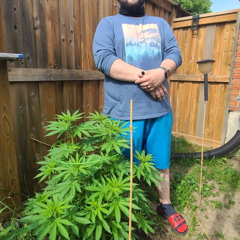 ChemDawg growlog timeline photo
