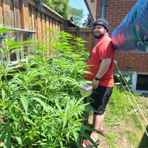 ChemDawg growlog timeline photo