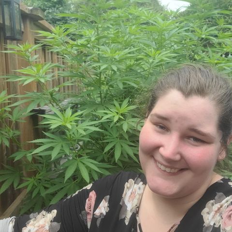 ChemDawg growlog timeline photo