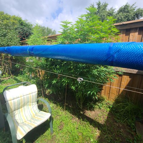 ChemDawg growlog timeline photo