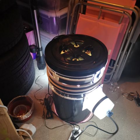 Lucia the 2nd growlog timeline photo