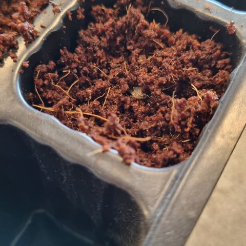 AK47 #1 growlog timeline photo