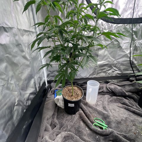 JMO growlog timeline photo