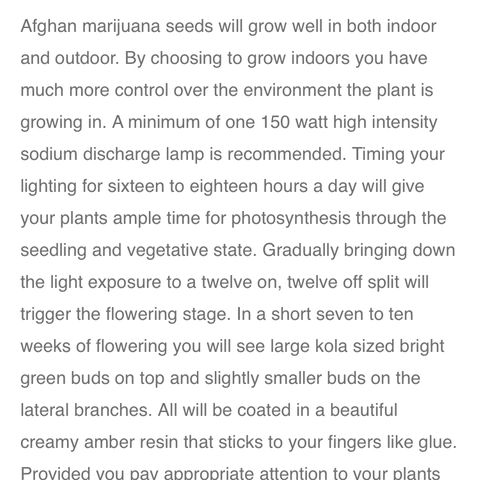 Afghan fem growlog photo: Indica 
