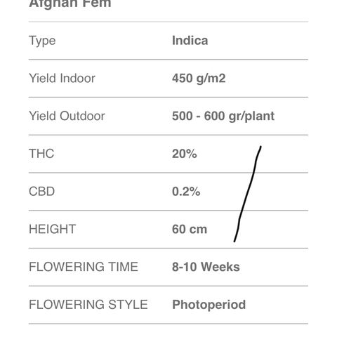 Afghan fem growlog photo: Indica 