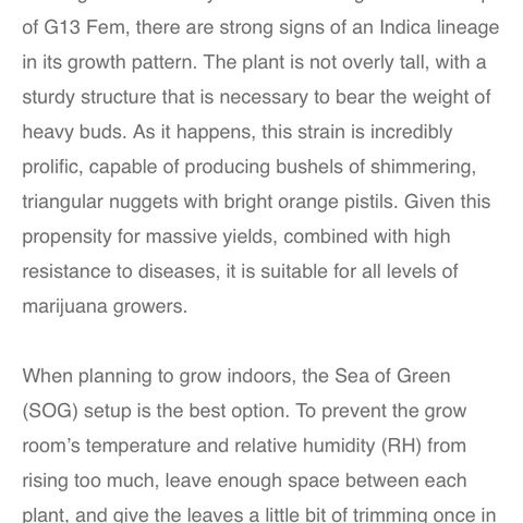 G13 fem mother Indica growlog timeline photo