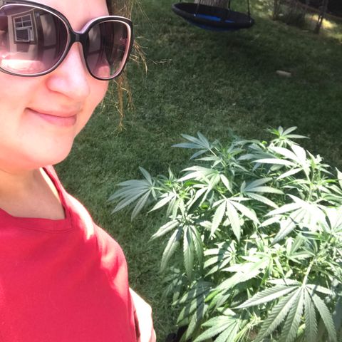 G13 fem mother Indica growlog timeline photo