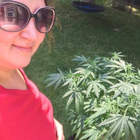 G13 fem mother Indica growlog timeline photo