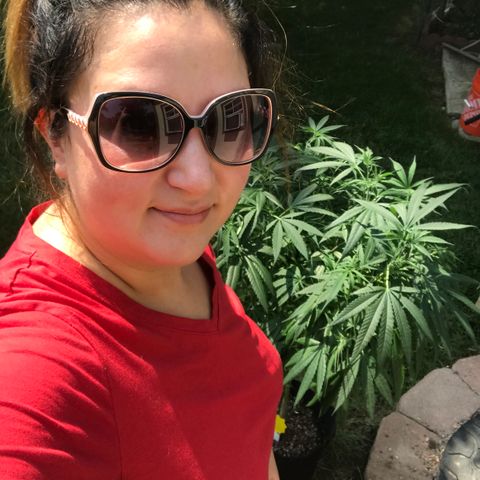 G13 fem mother Indica growlog timeline photo