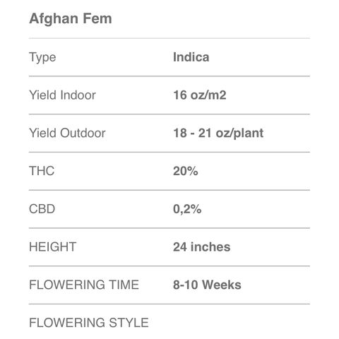 Afghan fem growlog timeline photo