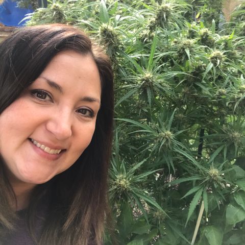 G13 fem mother Indica growlog timeline photo