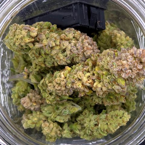 Bubba Kush growlog timeline photo
