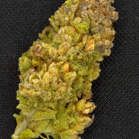 Bubba Kush growlog timeline photo