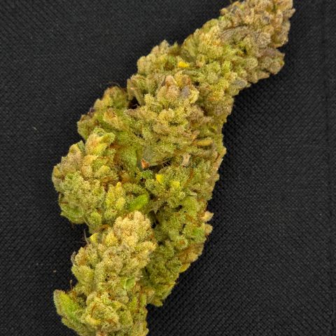 Bubba Kush growlog timeline photo