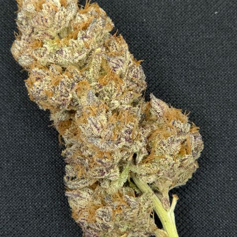 Granddaddy Purple growlog timeline photo