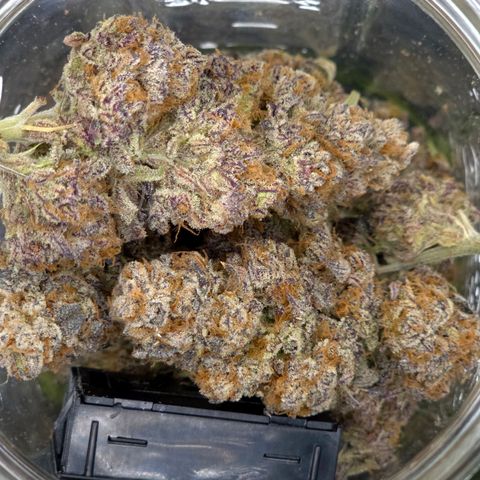 Granddaddy Purple growlog timeline photo