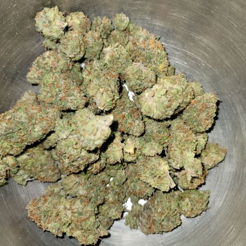 Citrus Punch growlog timeline photo