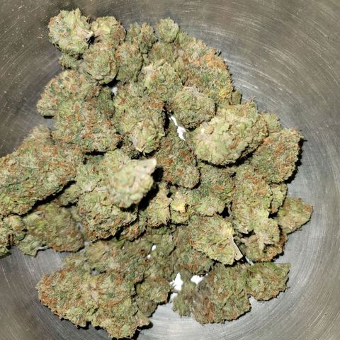 Citrus Punch growlog timeline photo