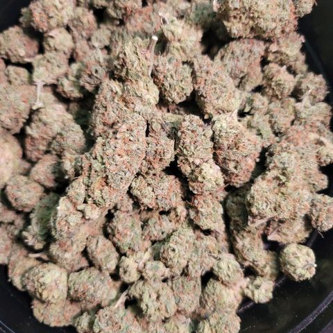 Citrus Punch growlog timeline photo