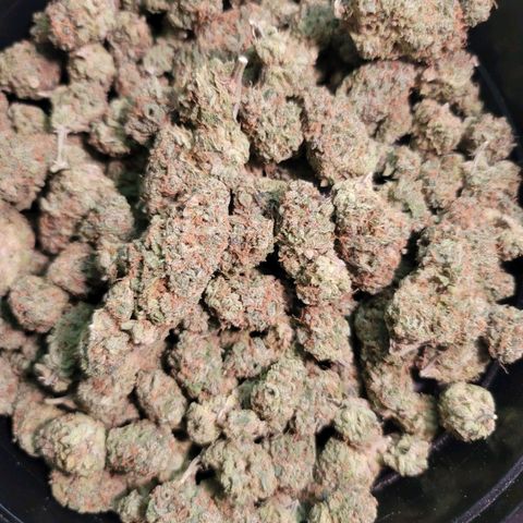 Citrus Punch growlog timeline photo