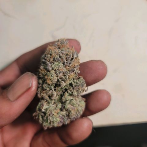 Blue Cookies  growlog timeline photo