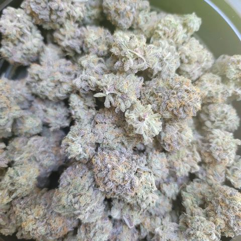 Blue Cookies  growlog timeline photo