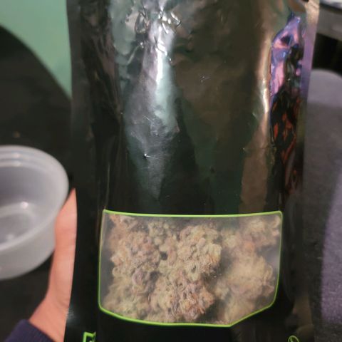 Blue Cookies  growlog timeline photo