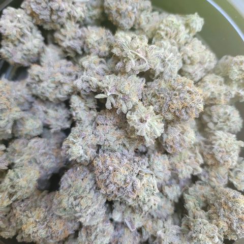 Blue Cookies  growlog timeline photo