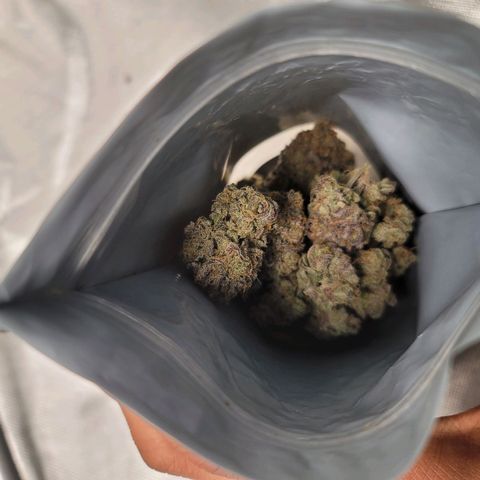 Blue Cookies  growlog timeline photo
