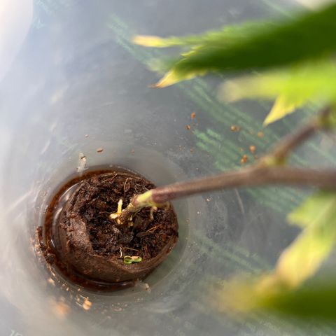 Strappata Per sbaglio  growlog photo: Fatta alle 03:45