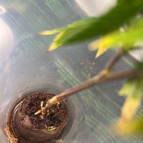 Strappata Per sbaglio  growlog photo: Fatta alle 09:15