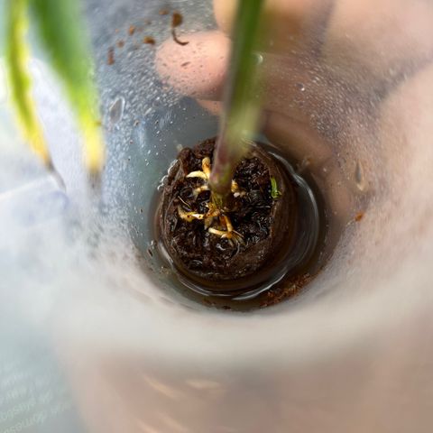 Strappata Per sbaglio  growlog photo: Fatta alle 00:15