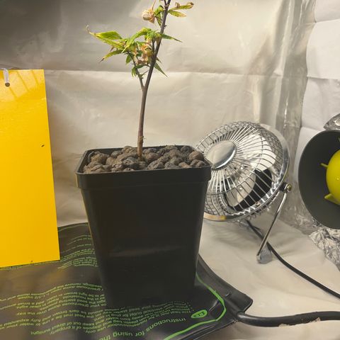 Strappata Per sbaglio  growlog photo: Fatta alle 09:00 