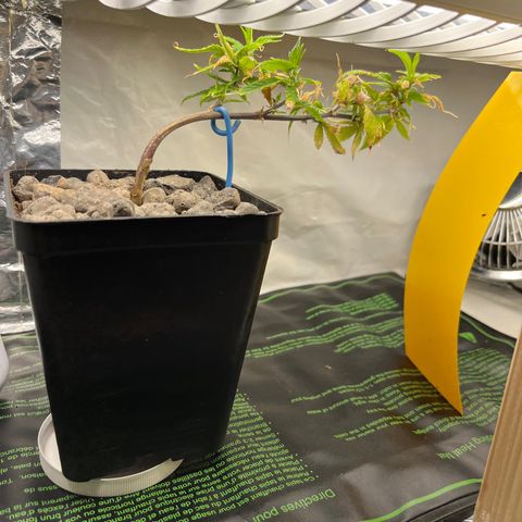 Strappata Per sbaglio  growlog photo: Fatta alle 07:00