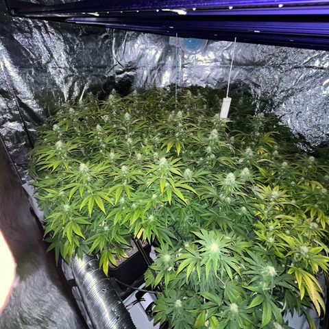 Strappata Per sbaglio  growlog photo: Fatta alle 09:55