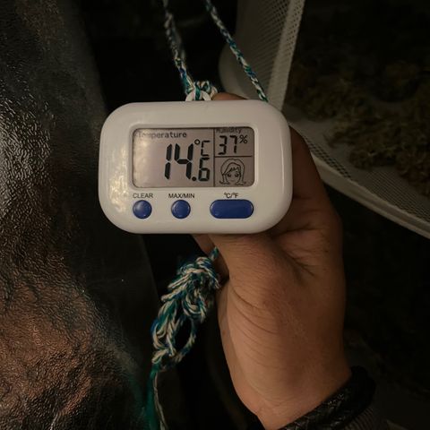 C2 Cloni Super Skunk Kush growlog timeline photo