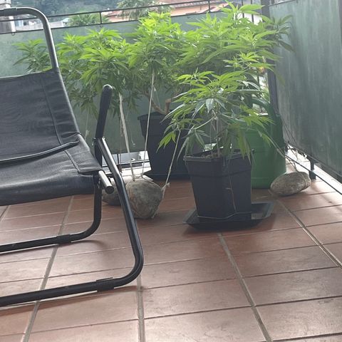 Strappata Per sbaglio  growlog photo: 07:50