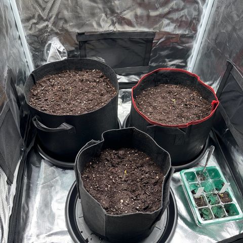 NLAF growlog timeline photo