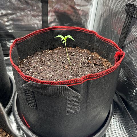 NLAF growlog timeline photo