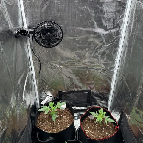 NLAF growlog timeline photo